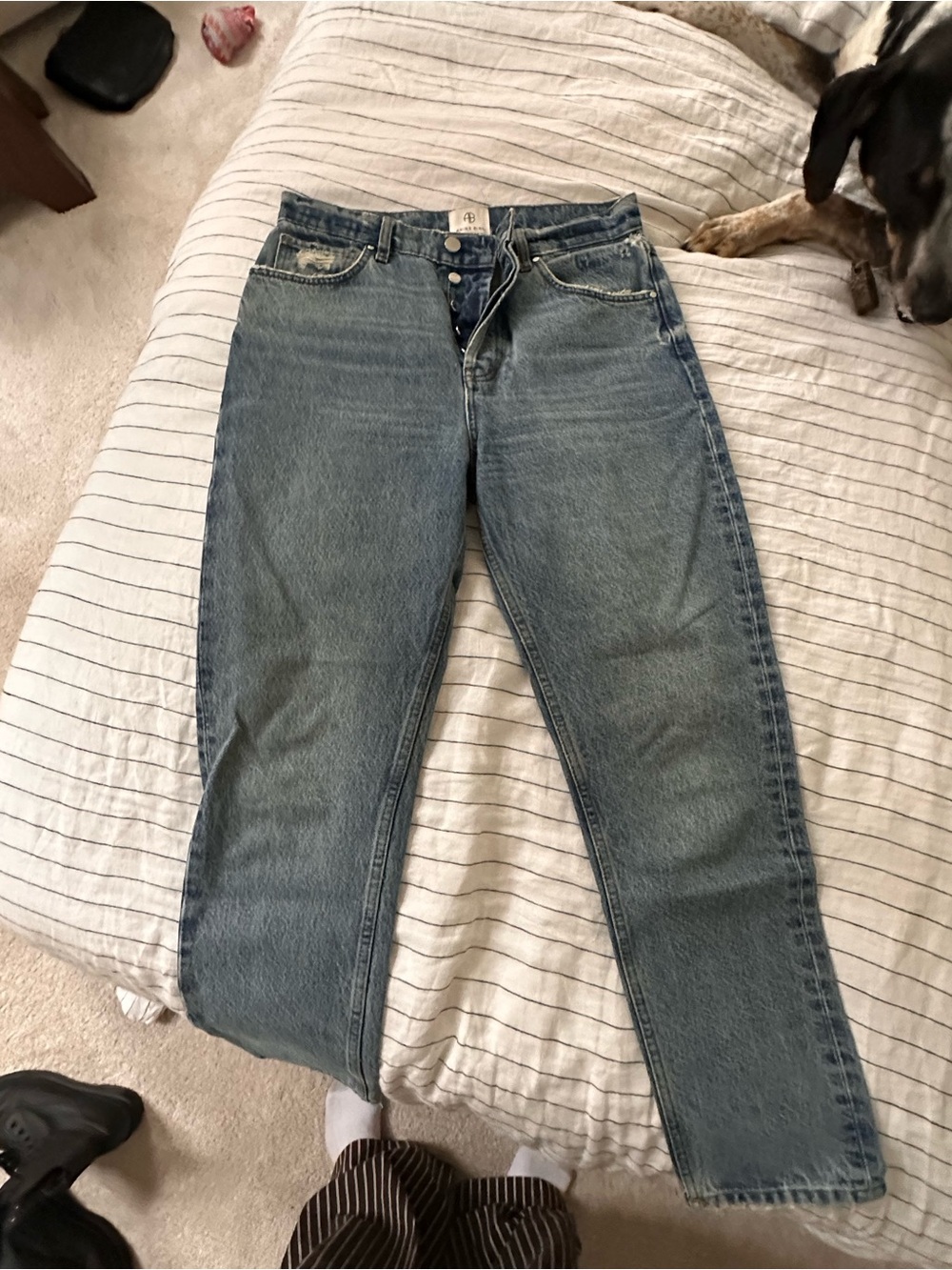 Anine Bing Blue Denim Sonya Jean